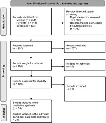 Time reference in aphasia: are there differences between tenses and aphasia fluency type? A systematic review and individual participant data meta-analysis